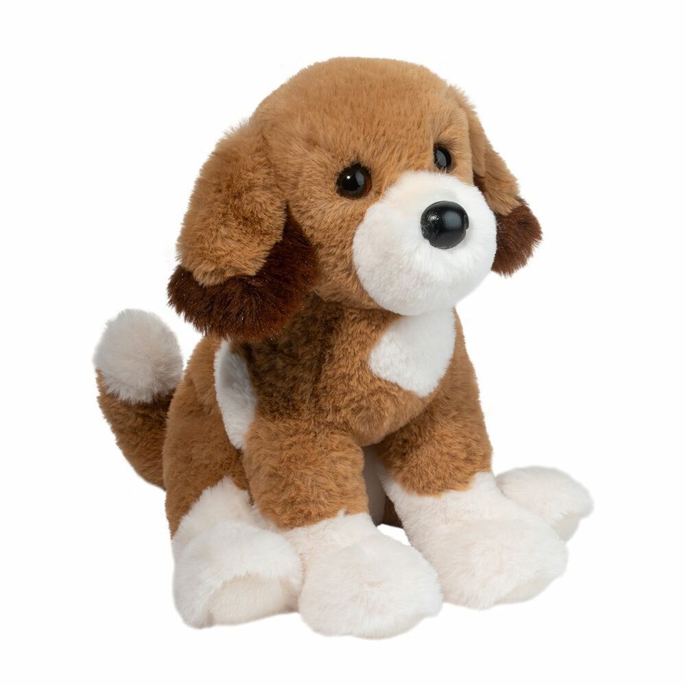 Douglas - Shirlie Doodle Dog