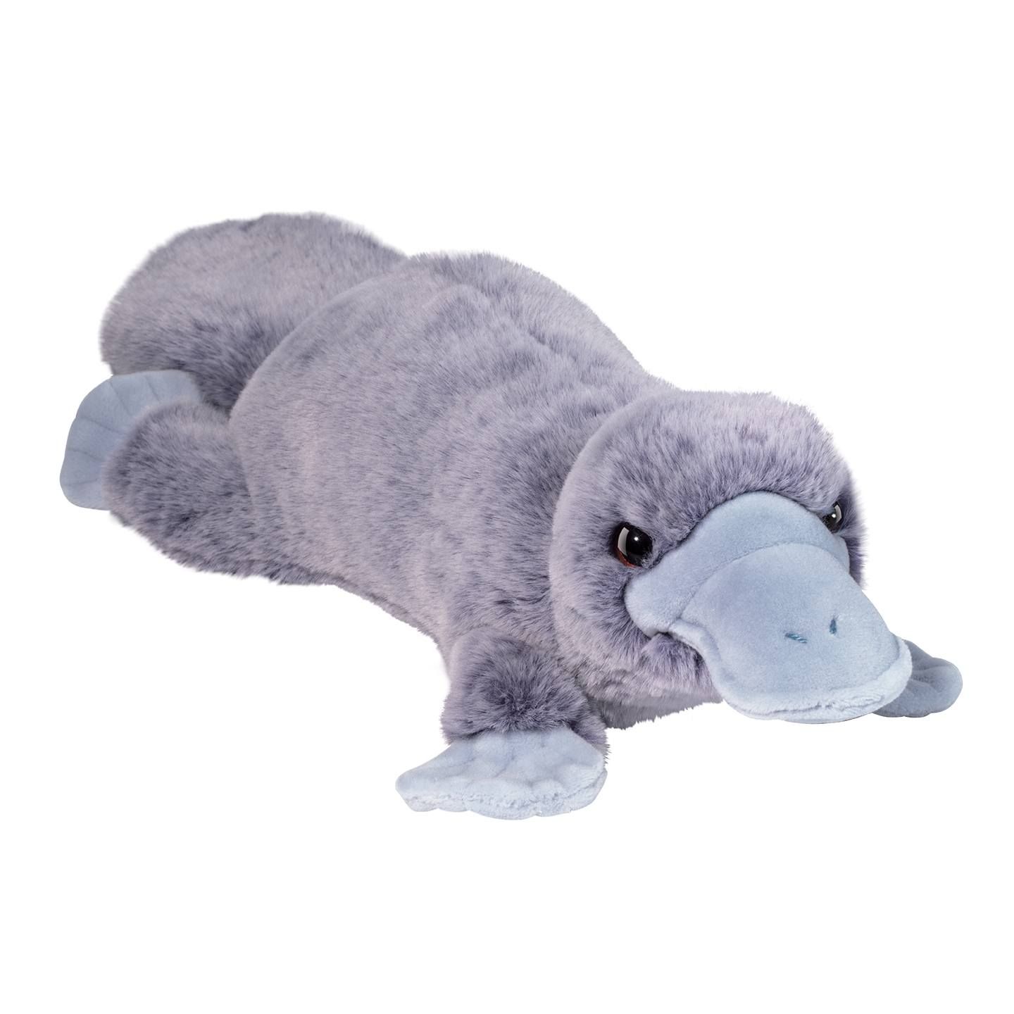 Douglas - Allie Platypus