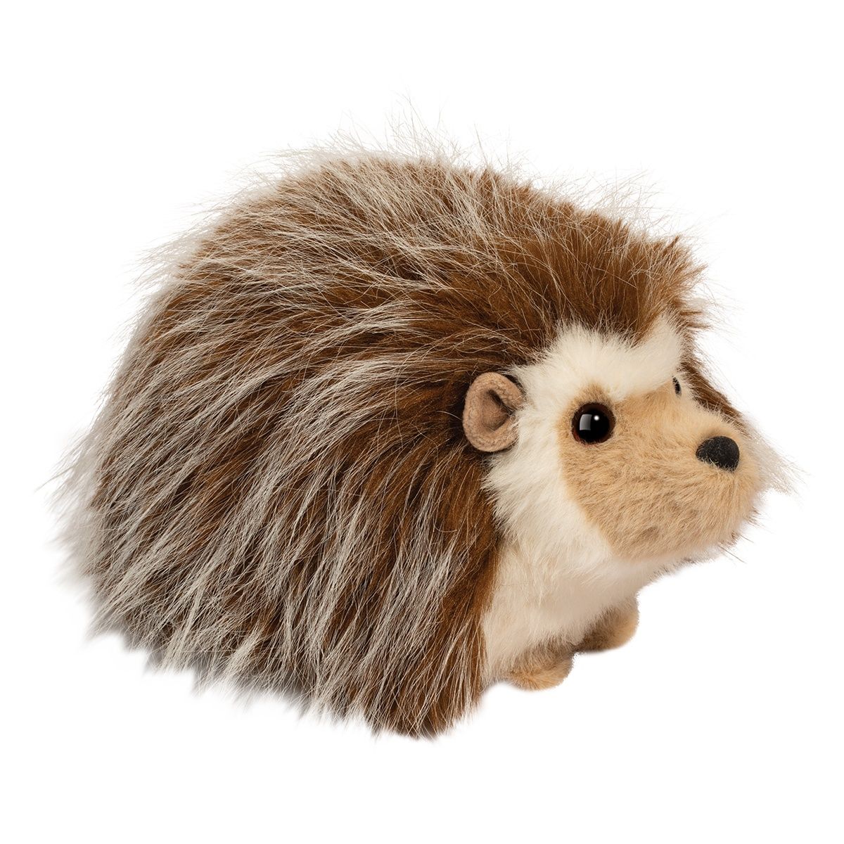 Douglas - Bristle Hedgehog