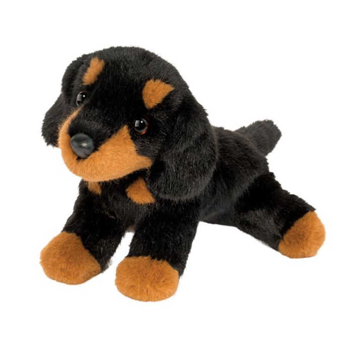 Douglas - Mini Dottie Dachshund