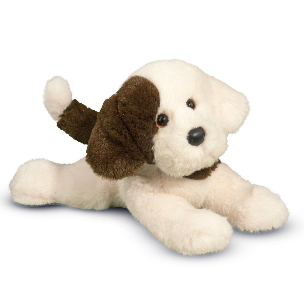 Douglas - Donnie Puppy