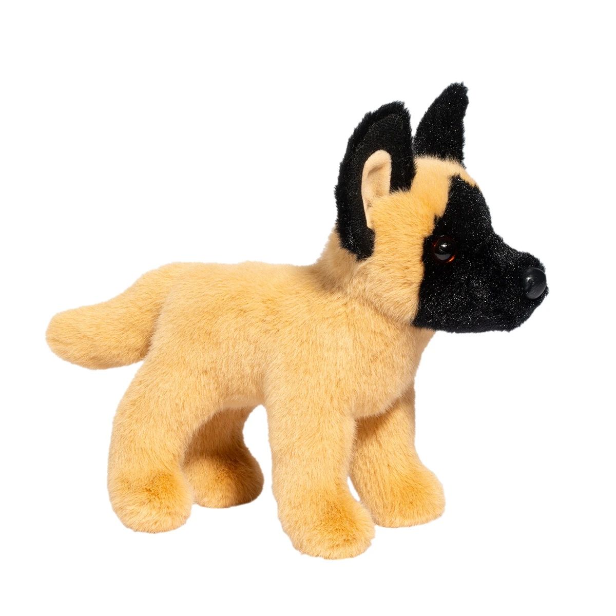 Douglas - Brent Belgian Malinois