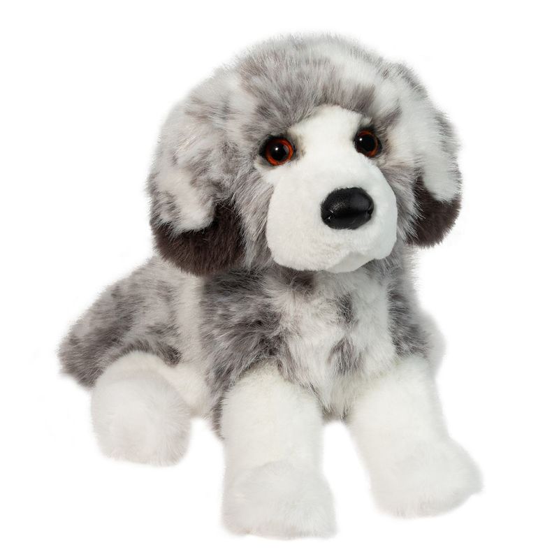 Douglas - Skylar Australian Shepherd