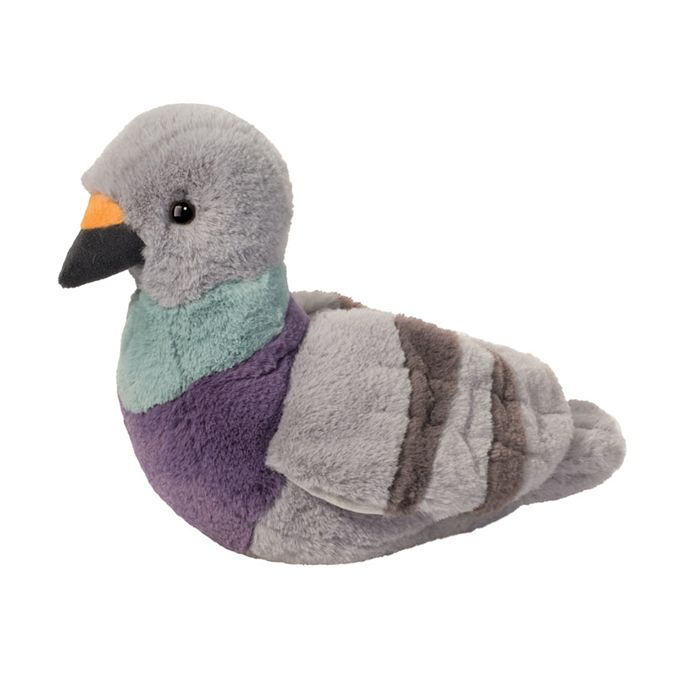 Douglas - Pennie Pigeon
