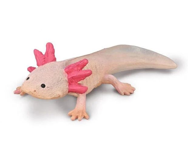 CollectA - Axolotl