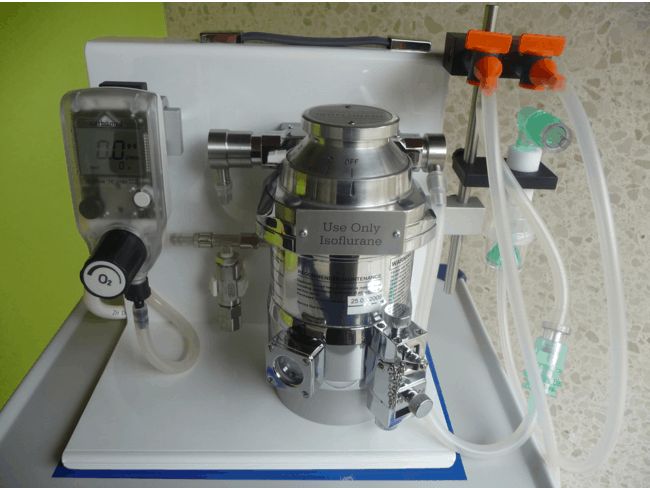 Anesthesia System with Digital Flowmeter and Dual Diverter with Lung Humidifier