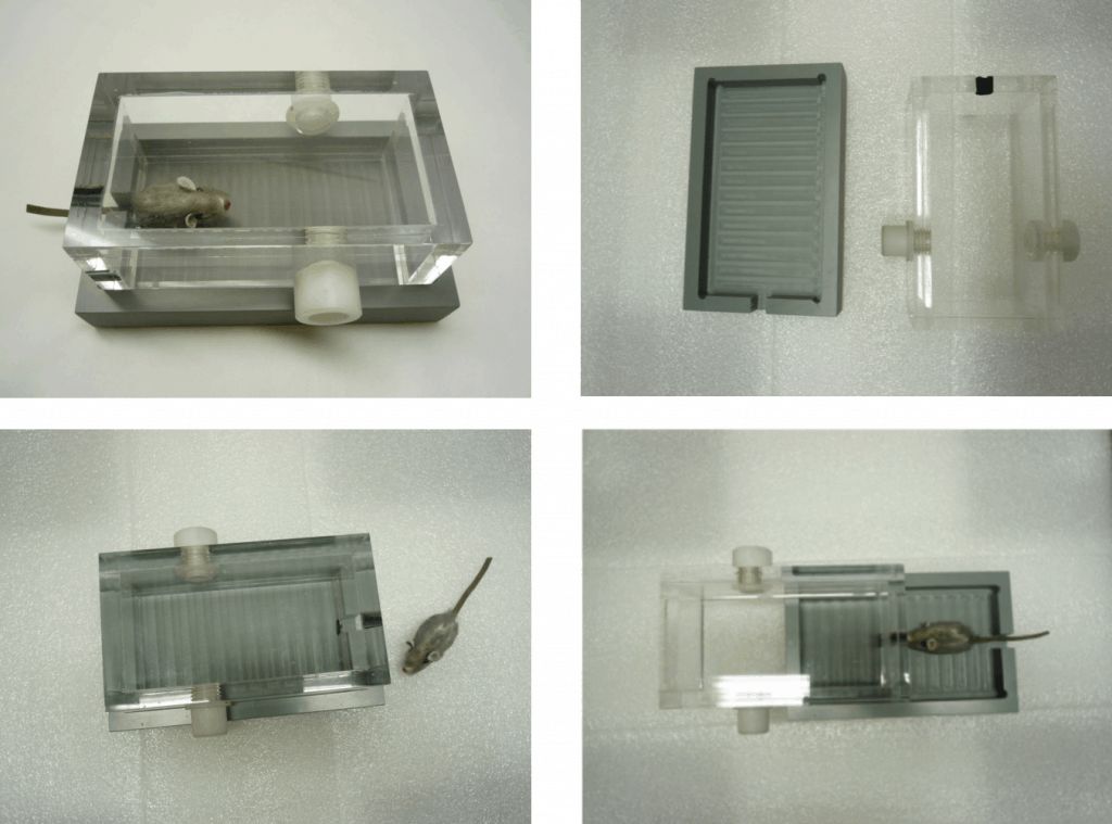 Mouse Induction Chamber for Tail Vein Injections