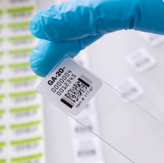 Histology Labels