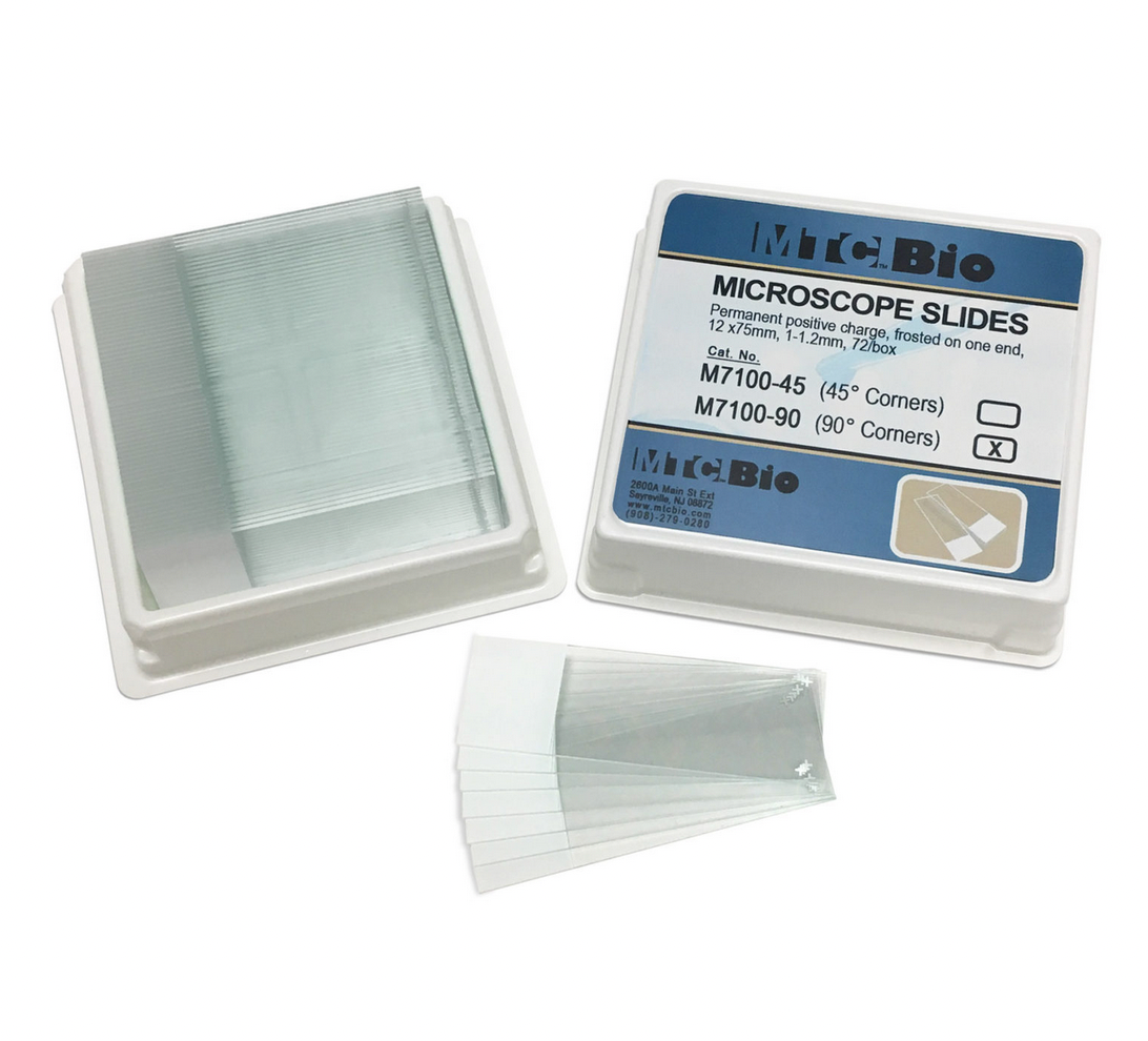Positived Charged Microscope Slides