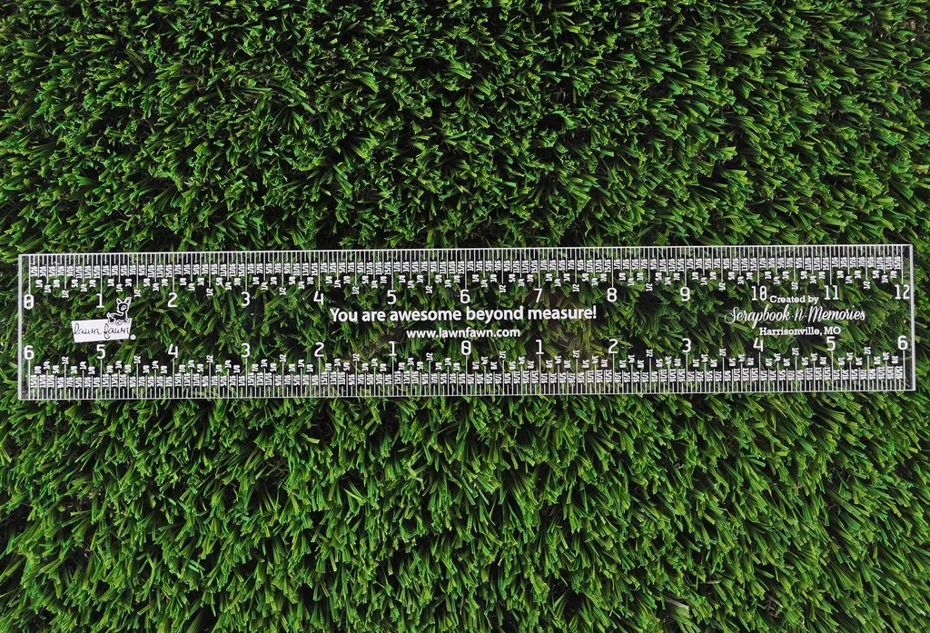LF 12&quot; Ruler