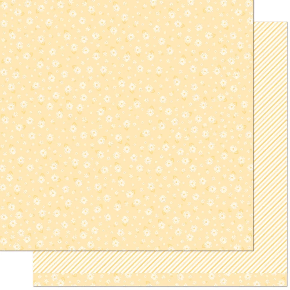 LF Buttercup 12x12