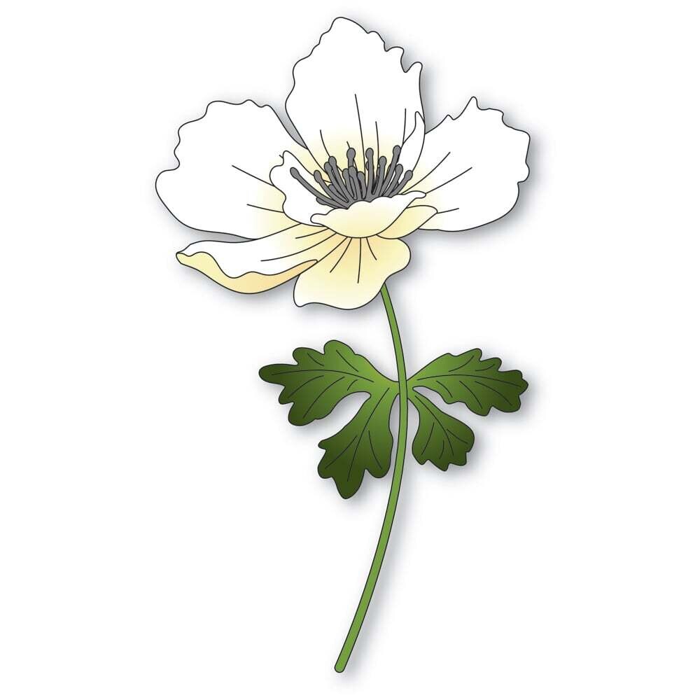 Graceful Anemone Die