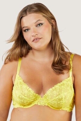 Audre Yellow Embroidery Plunge Bra