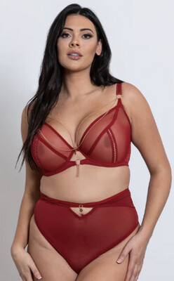 Unchained Plunge Bra Deep Red
