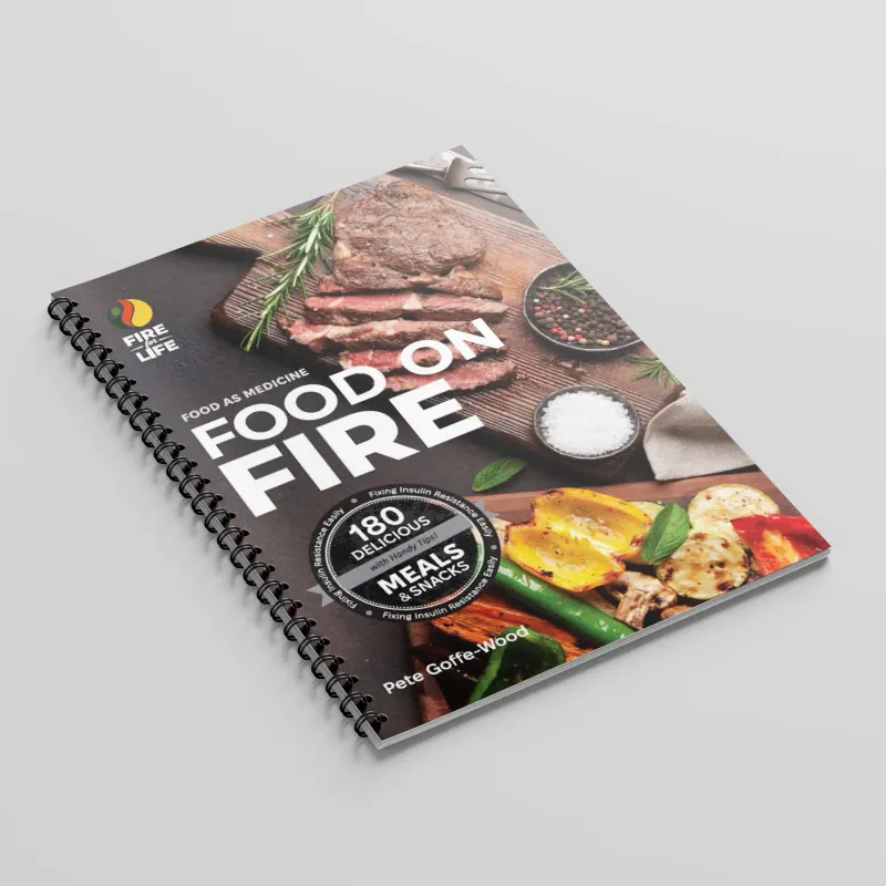 Food on Fire Recipe eBook
