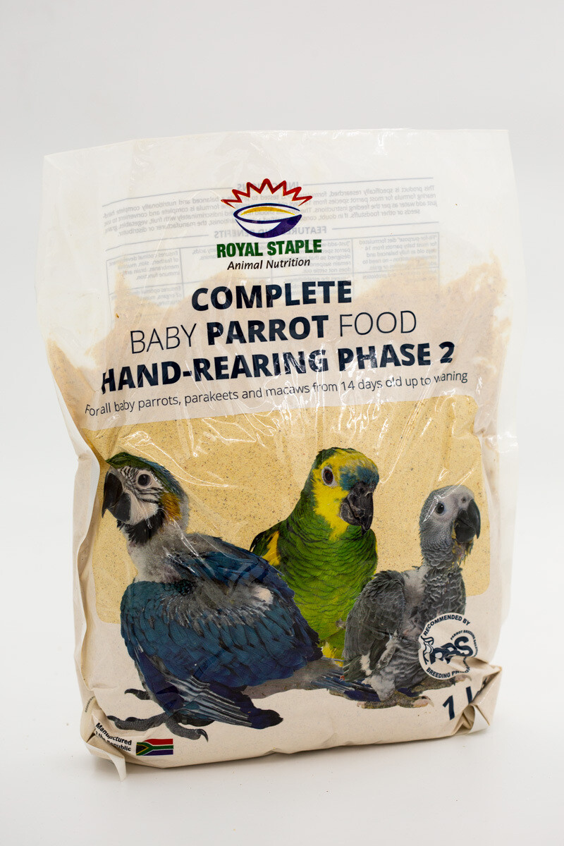 Baby parrot clearance food