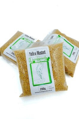 Yellow Mustard Sprouting/Microgreen Seed