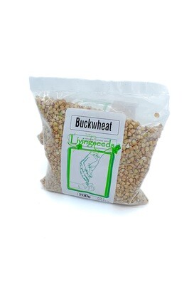 Buckwheat Sprouting/Microgreen Seed