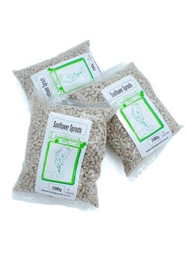 Sunflower Sprouting/Microgreen Seed - 200g