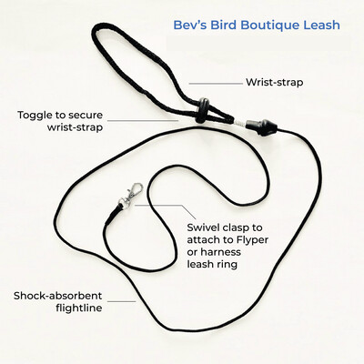 Avian Flightline Leash - Long (1.2m)
