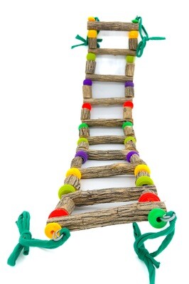 A50 Tie Me Down Ladder