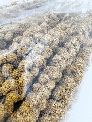 Millet Spray - 1kg Packets