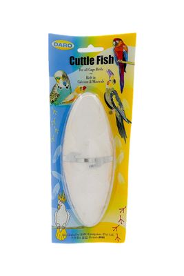 Cuttle Fish