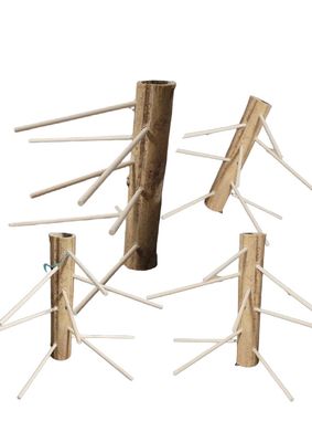 Small Bamboo Budgie Perch