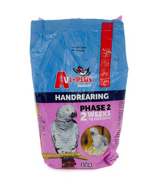Parrot Handrearing Phase 2