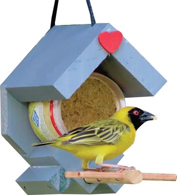 Elaines Birding