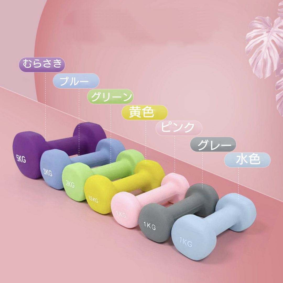 ダンベル1〜3㌔各種/Dumbbells