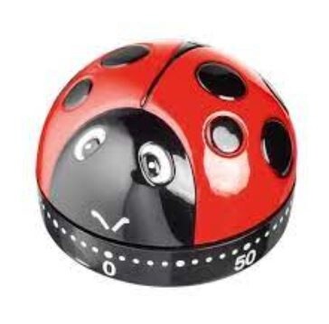 Di Antonio Ladybird Timer