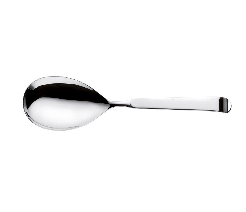 Astra Serving Spoon