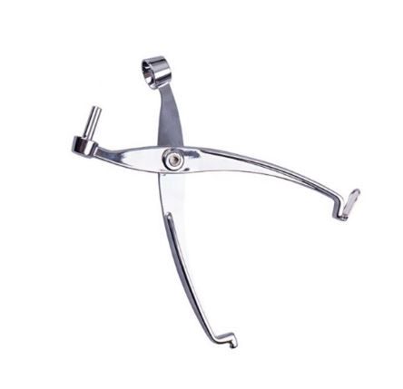 Avanti  Cherry &amp; Olive Pitter
