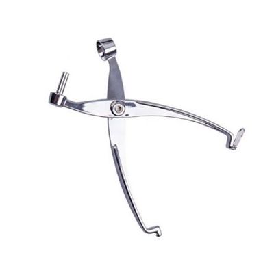 Avanti Cherry &amp; Olive Pitter