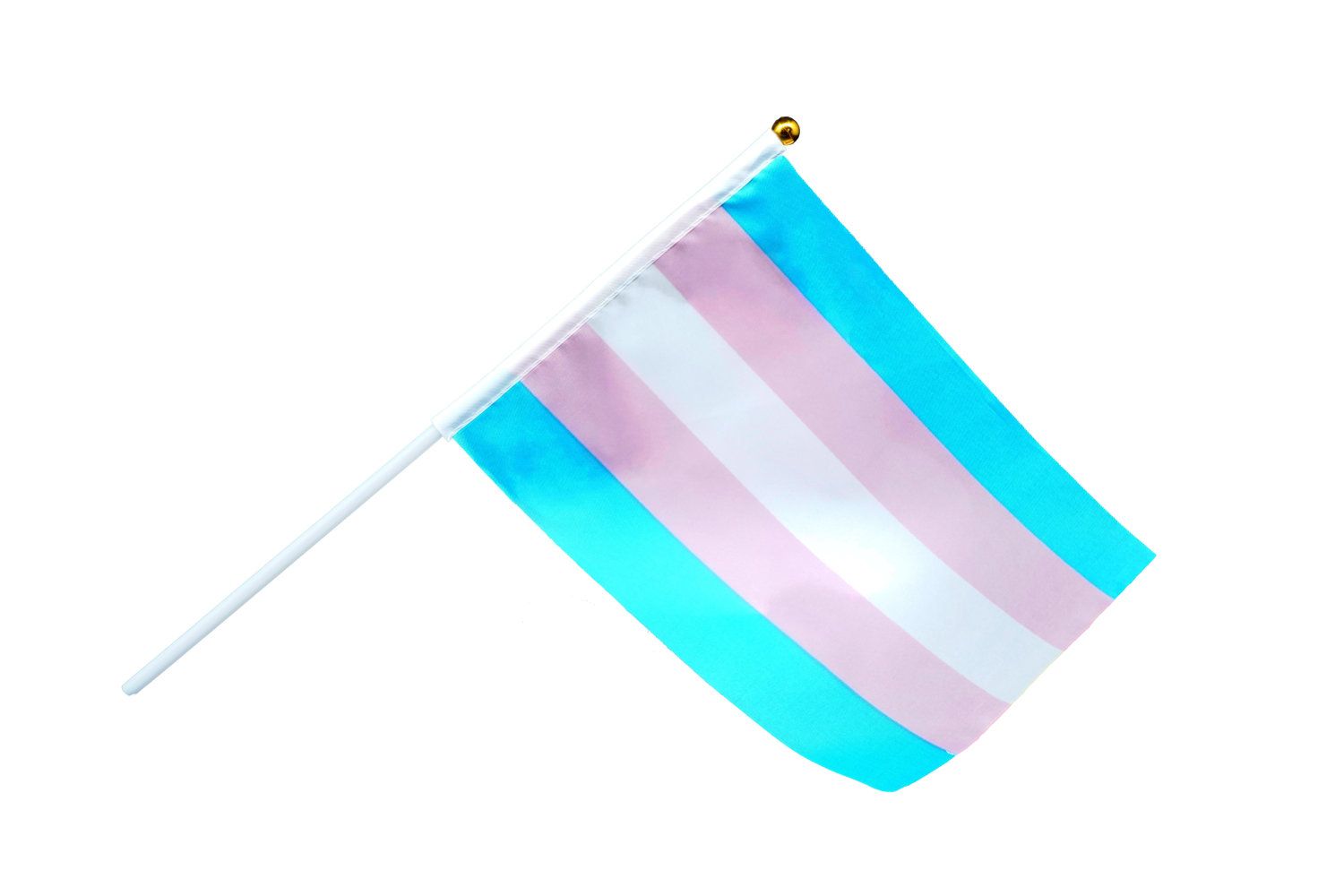 Transgender Handfähnchen klein - Transgender Handflag (14x20cm) - 2er Pack - Pride Flaggen