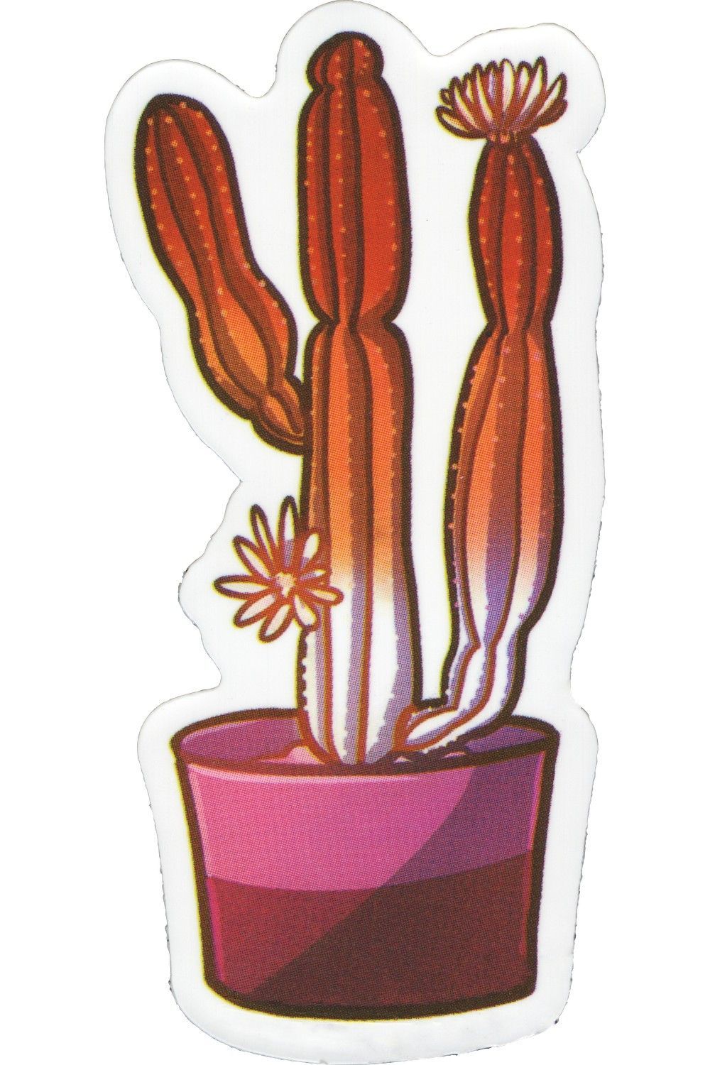 Sticker, Pride Lesbian Kaktus, Lesbian #19* Sticker, Pride Lesbian Kaktus, Lesbian #19*