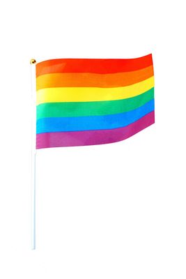 Kleine Regenbogen Handfähnchen, Rainbow Flag - 2er Pack 14x20cm