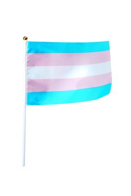 Transgender Handfähnchen klein - Transgender Handflag (14x20cm) - 2er Pack - Pride Flaggen Transgender Handfähnchen klein - Transgender Handflag (14x20cm) - 2er Pack - Pride Flaggen