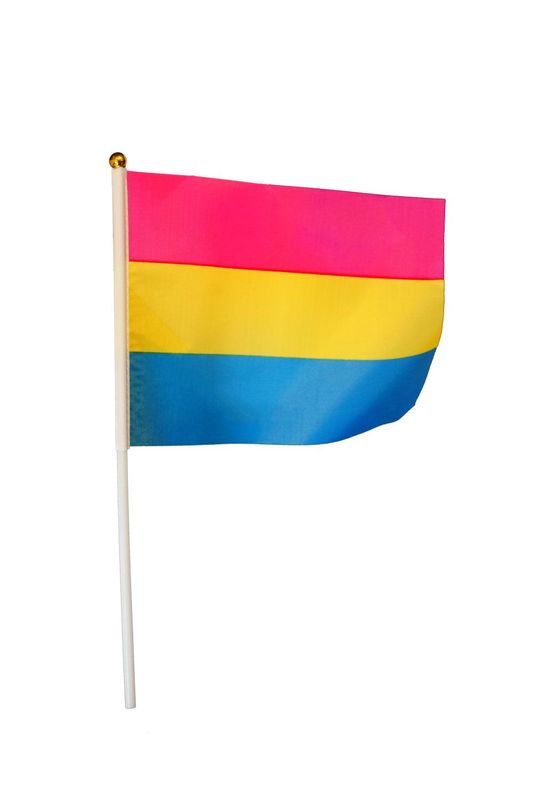 Pansexuell Handfähnchen klein, Pansexuality Handflag - (15x20cm) - 2er Pack - Pride Flagge Pansexuell Handfähnchen klein, Pansexuality Handflag - (15x20cm) - 2er Pack - Pride Flagge