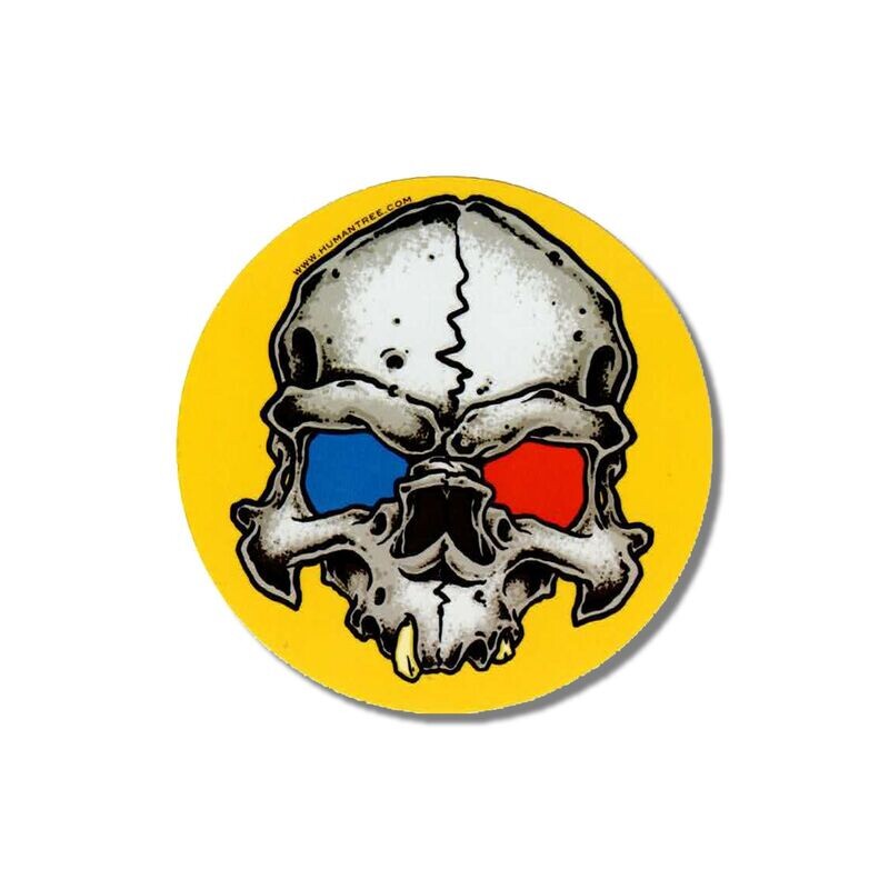 3-D SKULL