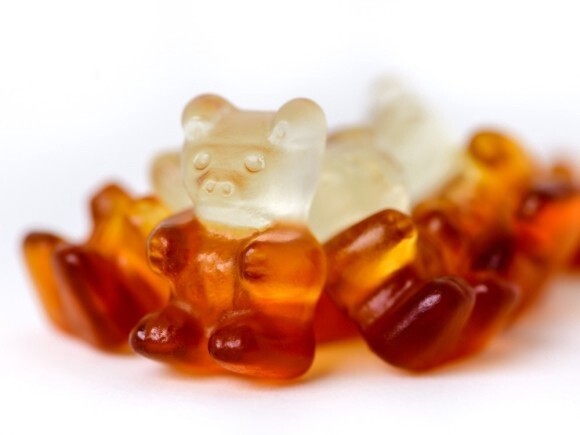 Cuba Libre Party Bears