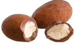 GOURMET NUTS