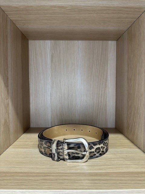 VANZETTI  PRINT V5454A6725