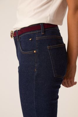 DES PETITS HAUTS Oesme Belt 1H260637 Prune
