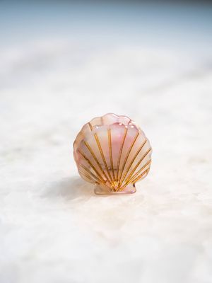 Mini  Scallop Shells Claw Clips