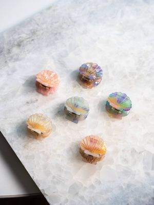 Mini  Scallop Shells Claw Clips