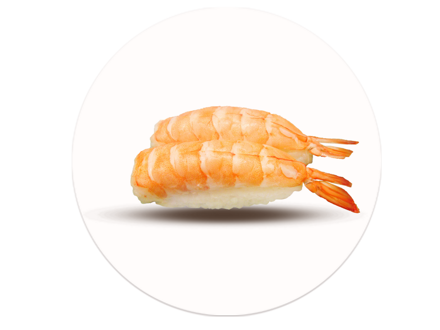 Nigiri Ebi 2pz
