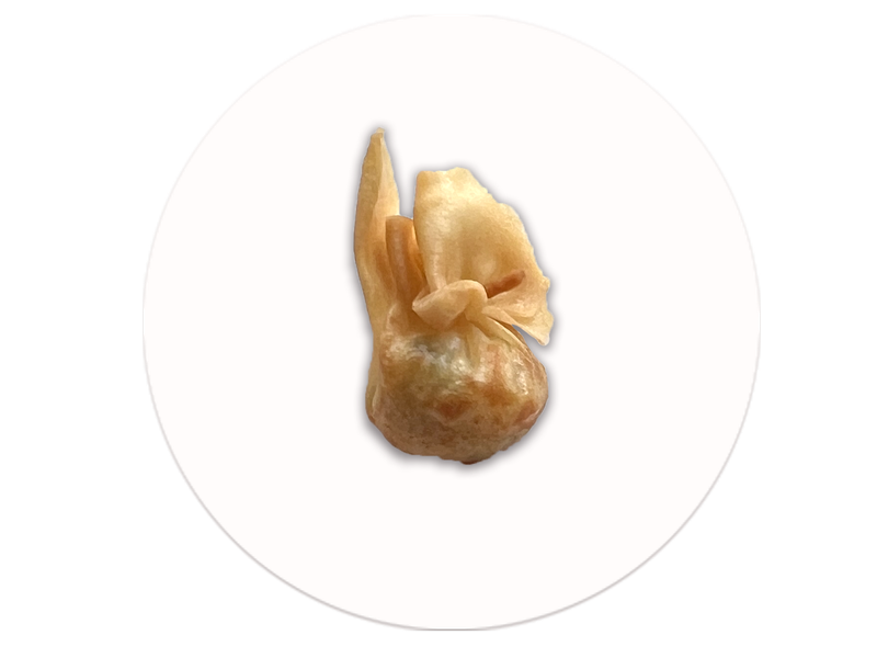 Fagottini fritti 3pz