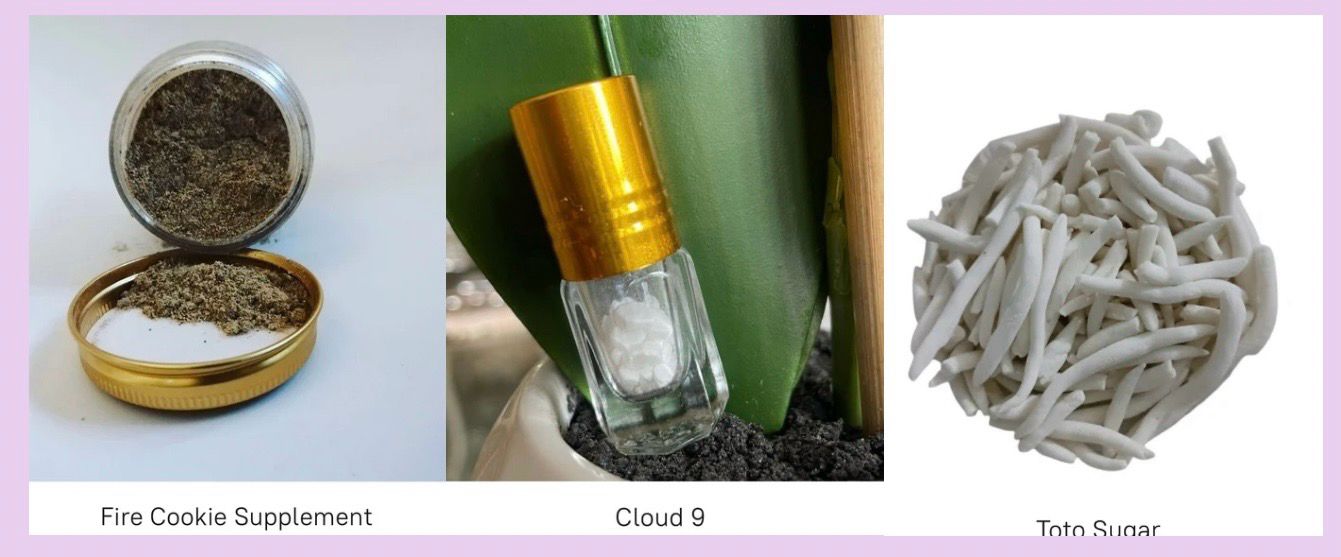 Conquering Lady Combo